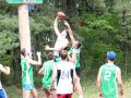 54 / 480