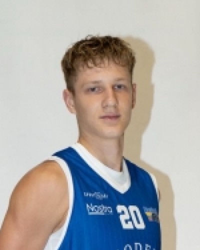 Julius Minajevas