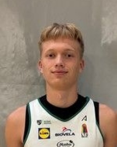 Mantas Šiaulaitis